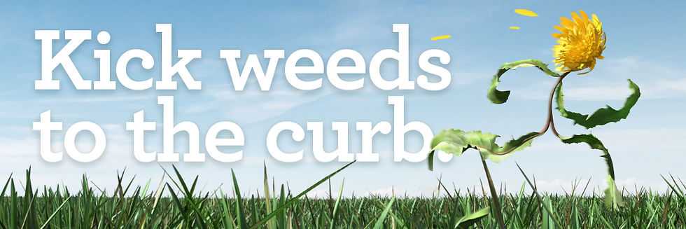 lawn care in Edmonton