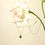 Thumbnail: Mini Emerald Necklace