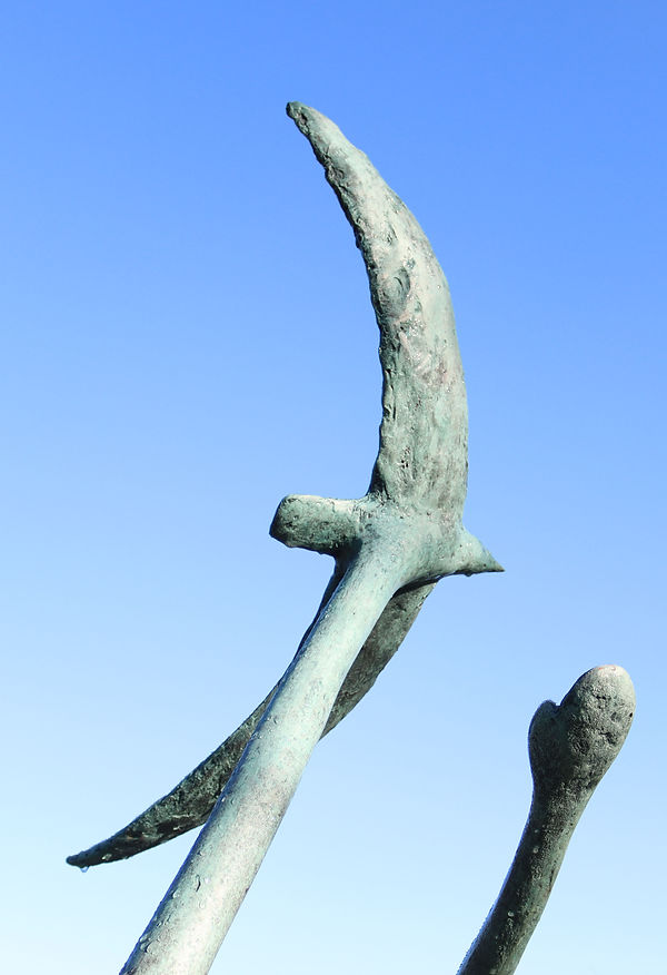 IMG_3335 Cropped (bird).jpg