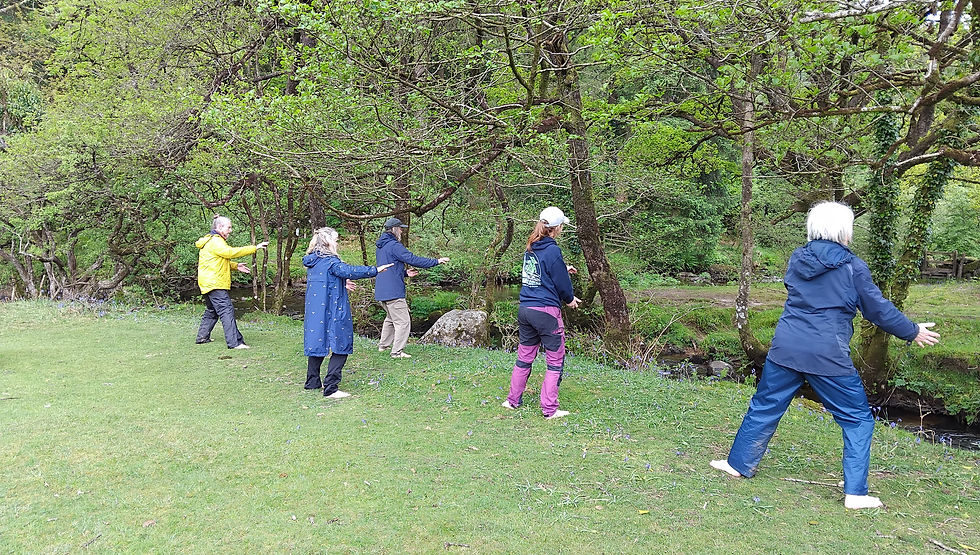 Image - Tai Chi, group near Dartmeet 170526.jpg