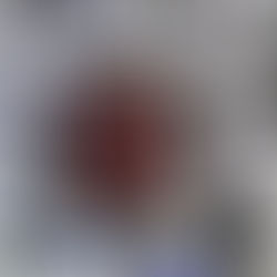 Mermelada de Ciruela (básica)