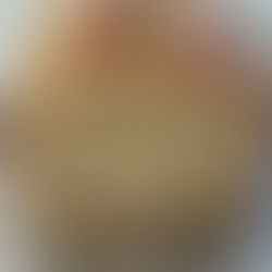 Pan Sandwich Ciruela