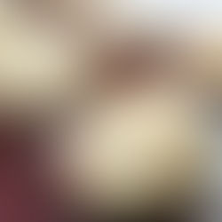 Ciabatta con Masa Madre