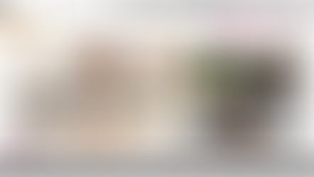 Menteuse Menteuse - Lili Bazar