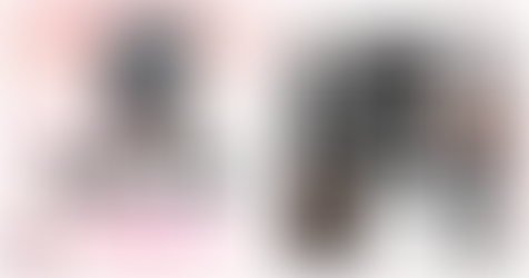 White Bird - Shelby Kaly