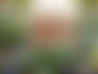 Person-Centered Dementia Care Activities