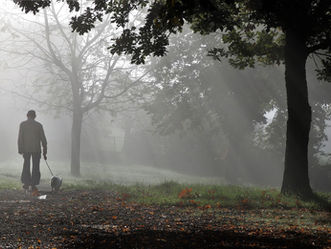 Why Are Elderly at Greater Risk for Suicide?