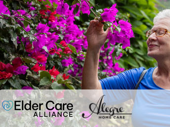 elder care alliance