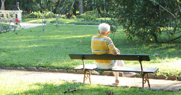 Senior or elderly person sitting on a bench in the summer. Home care.