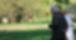 senior veterans, home care services