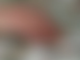 What Does a Dementia Care Plan for LGBT Seniors Include?