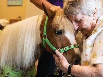 A Little Horse Power Goes a Long Way with Seniors
