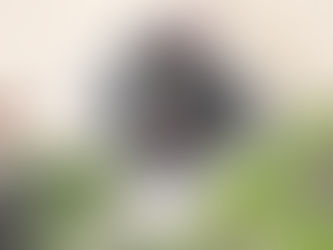 Do Seniors Benefit from An Anti-Inflammatory Diet?