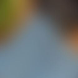 Addie Cowl Full-Color Reveal!