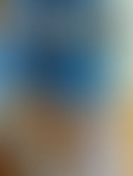 Behind the Swatches: Exploring Ewetopia’s Milled Yarns