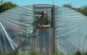 RIBAllotmentPolytunnel.webp