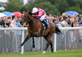 Horse Racing and Branded