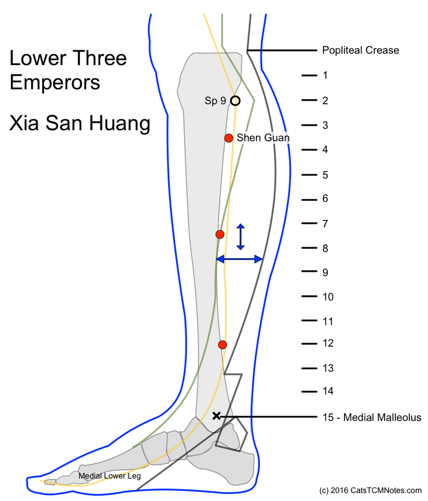 Xia San Huang 77.18, 77.19, 77.21