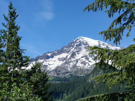 Scenes from Mt. Rainier