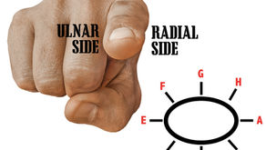 Finding Master Tung Finger Points