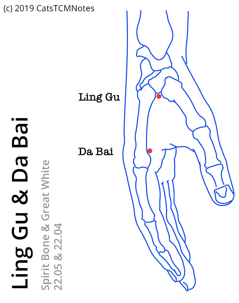 22.xx Hand Points CatsTCMNotes