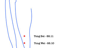 Tong Bei - 88.11