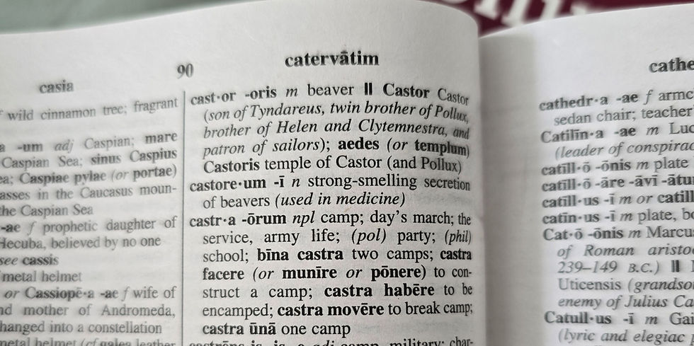 A view of the New College Latin and English Dictionary