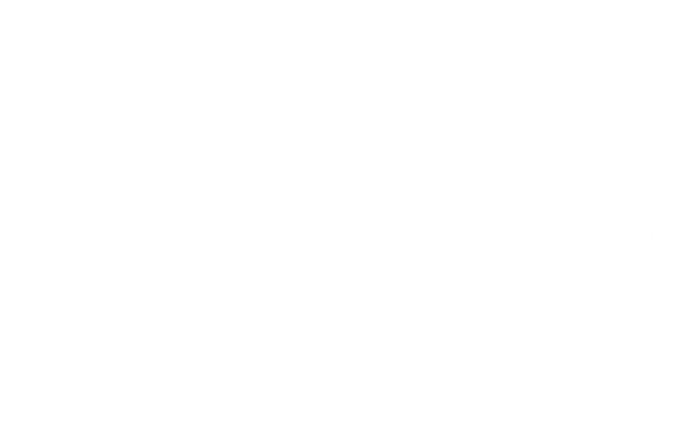 NDO LOGO WHITE.png