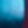 JUNGLE BACKGROUND 24-0.jpg