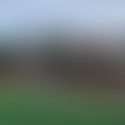 L'aventure de Clément Paillon