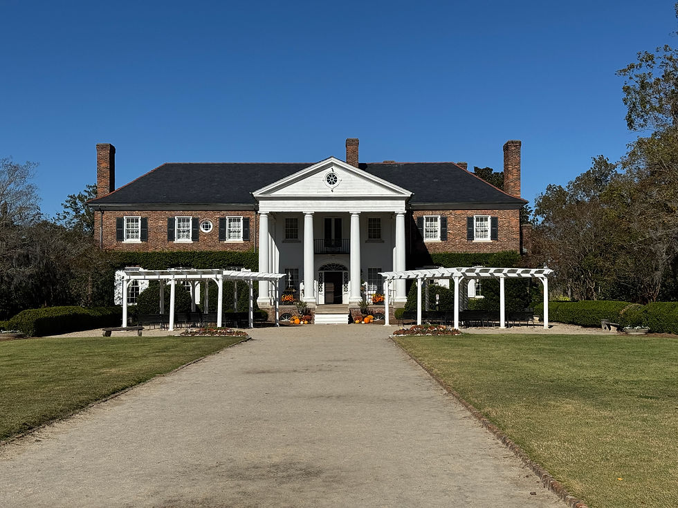 Charleston Travel Blog: A Day of Missed Tours and Plantation Adventures