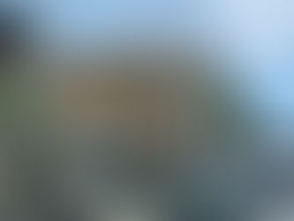 Cinque Terre Day Trip: Tour Experience & Travel Insights