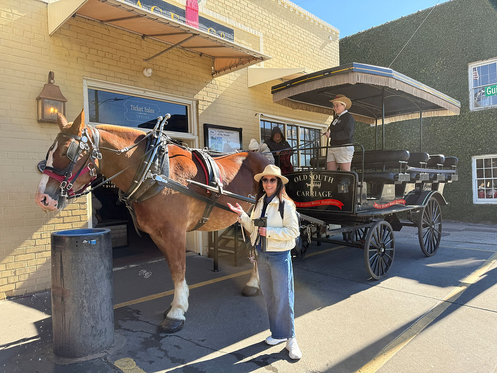 Exploring King Street and Flying Home from Charleston