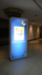 Venezolana de Pinturas 1