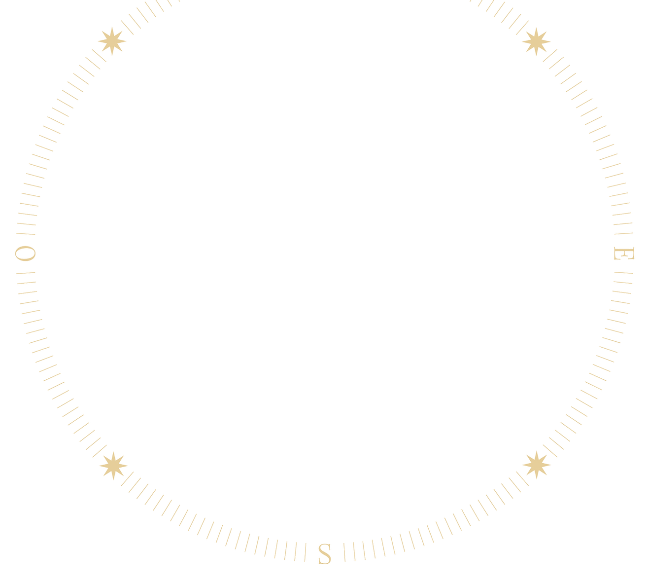 roue_edited.png