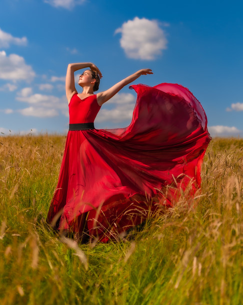 ballet skirt