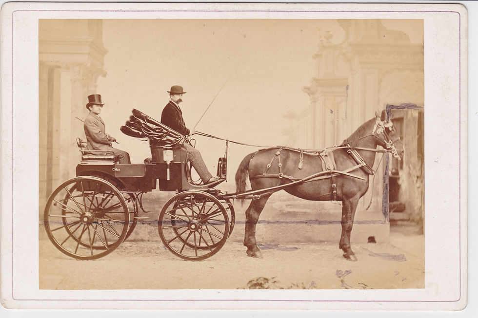 Group of three cabinet cards of horse carriages, Italy c1885