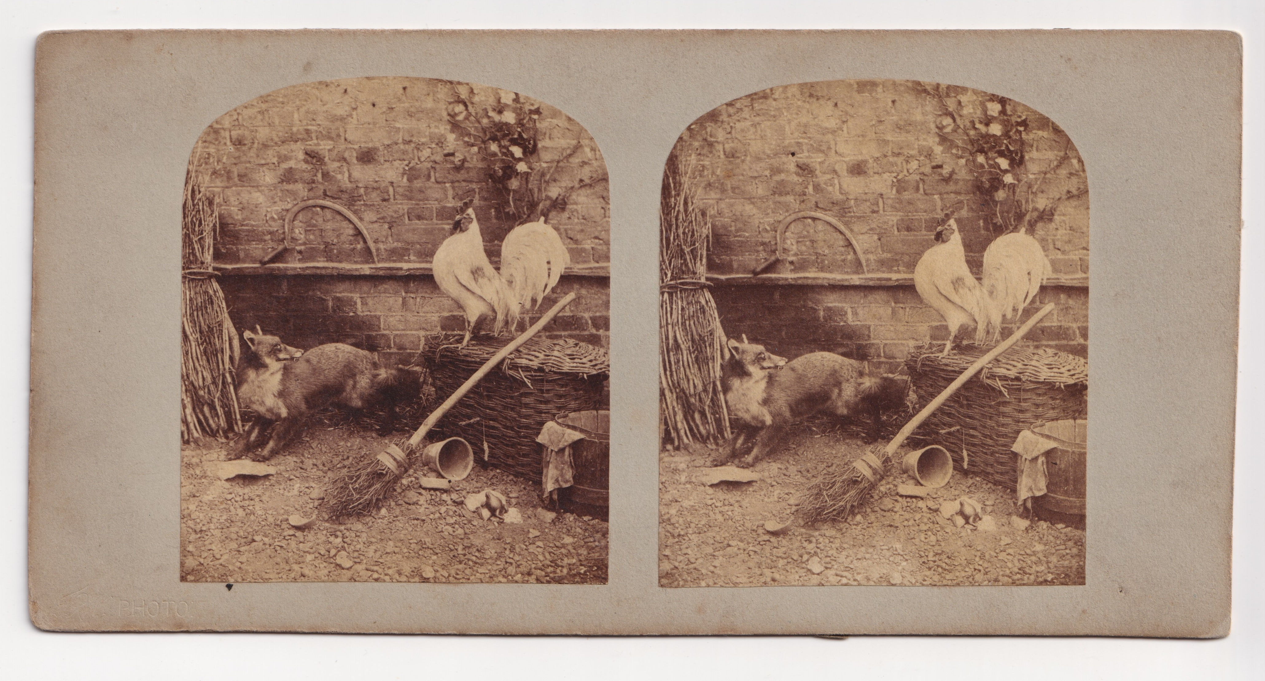Stereoview of a Farmyard, The Cock and Fox, T.R. Williams, circa 1855