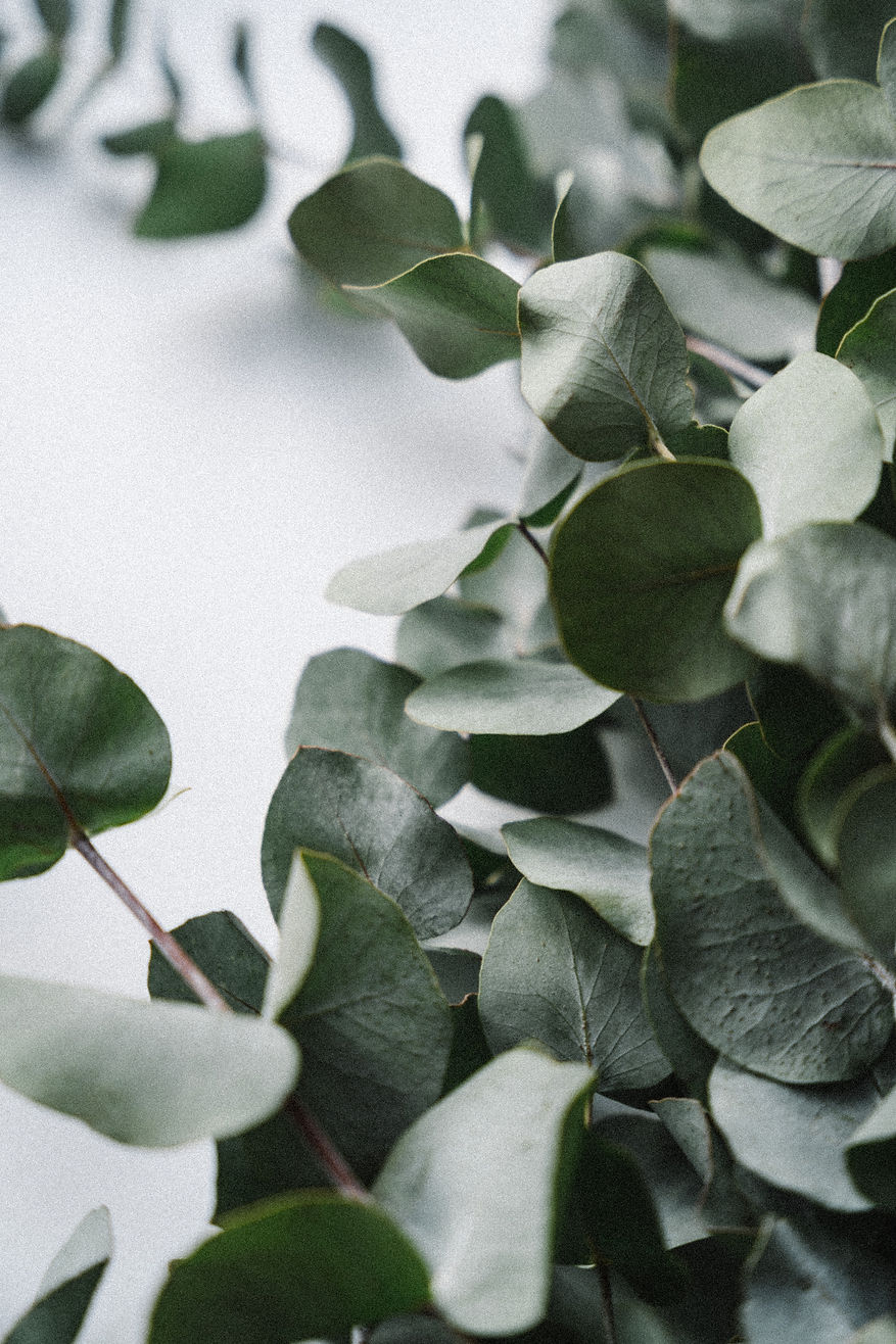 iain-robertson-G46PxOQSdnA-unsplash.jpeg
