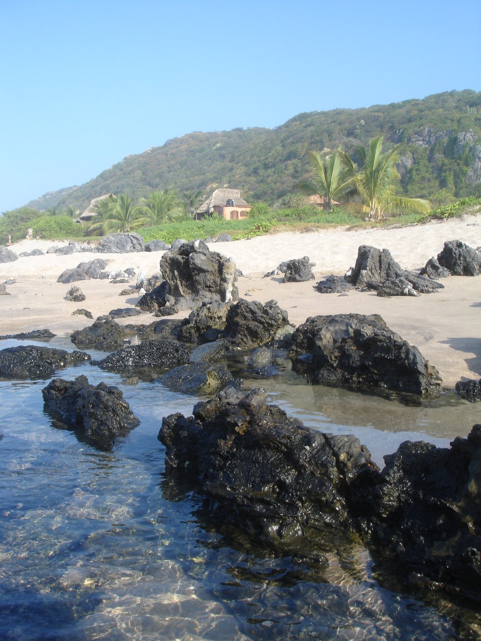 Tide-pooling on vacation.