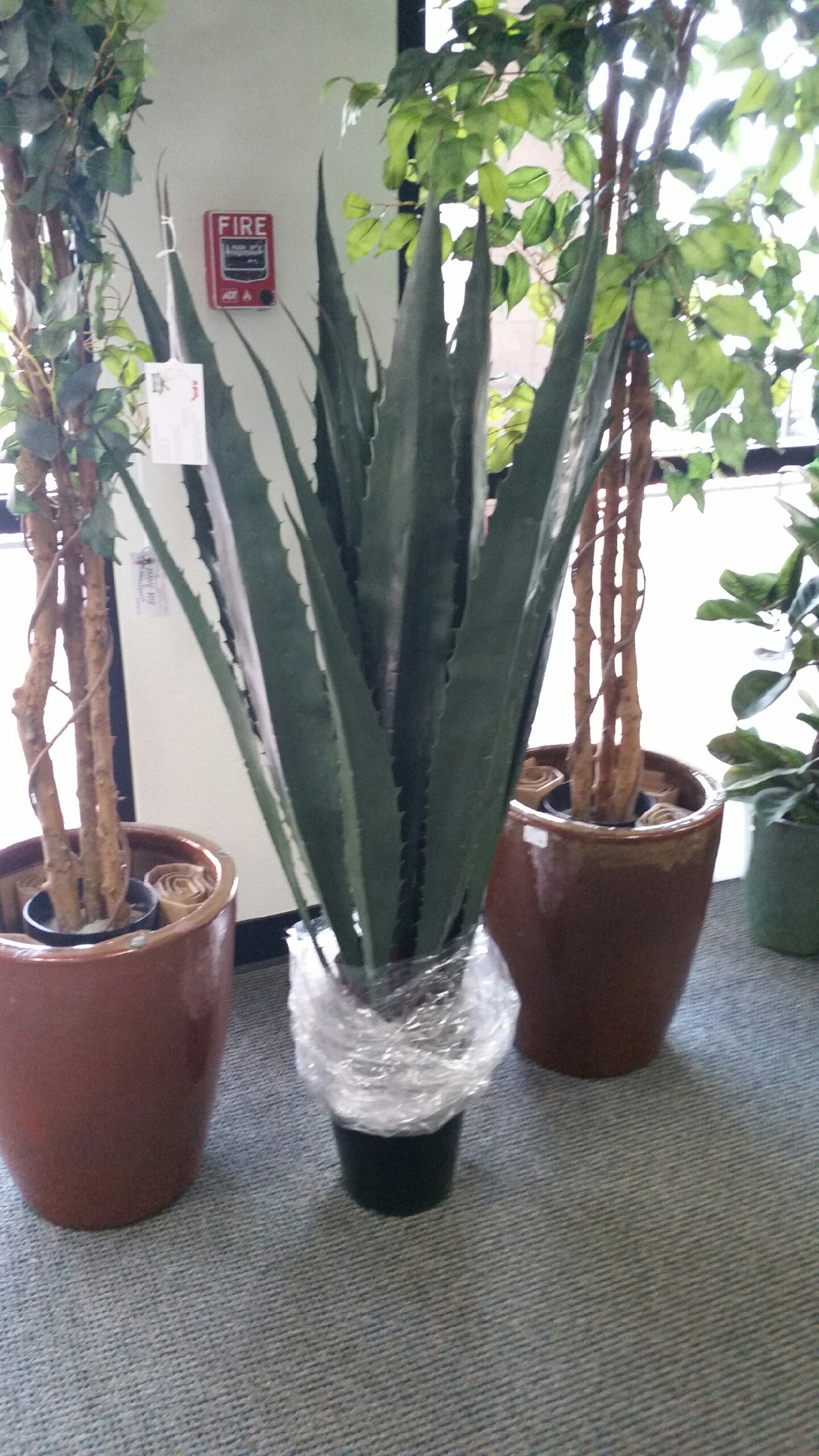 Gallery Cathedral City Silk Forest