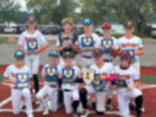 Youth Baseball Tournament Pass 10U-12U: July 10-12
