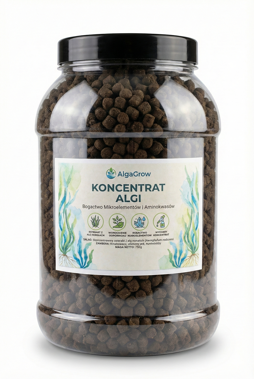KONCENTRAT ALGI