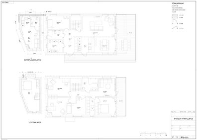 A-40-1-01 ENTRÉPLAN & LOFT.jpg
