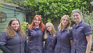 sophie and dorset team.jpg