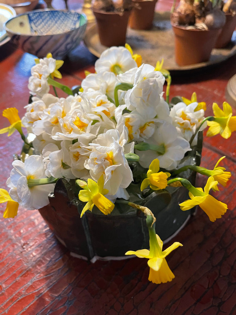 The Sultan's Crown Flower Box