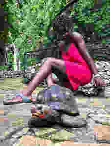 IMG-20170703-WA0018-01 copy