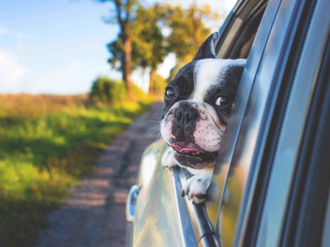 5 Popular Car Hire Companies in Barbados (Plus 3 Smaller Alternatives) That You Need To Know!