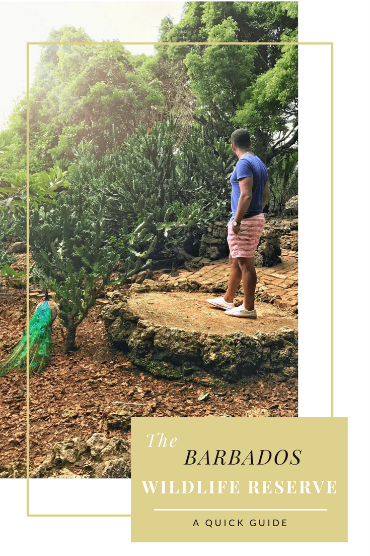 The Barbados Wildlife Reserve
