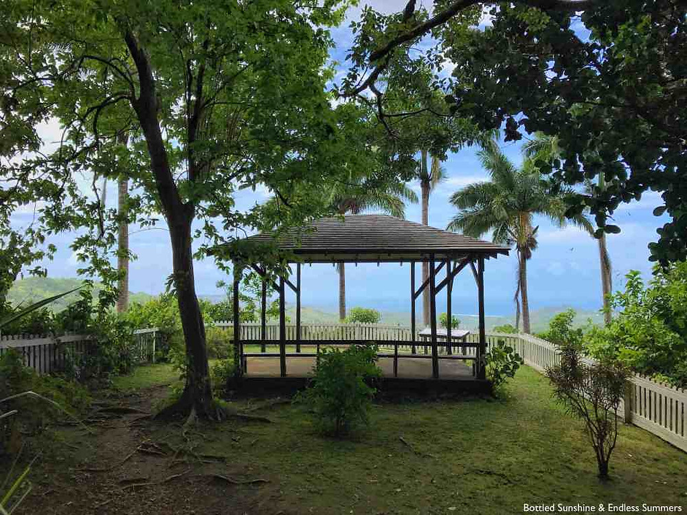 IMG_8548-01 copy
